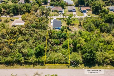 Land in Port Charlotte, Florida № 2158771