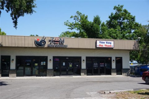 Commercial property in Tampa, Florida 418.06 sq.m. № 1642382 - photo 2