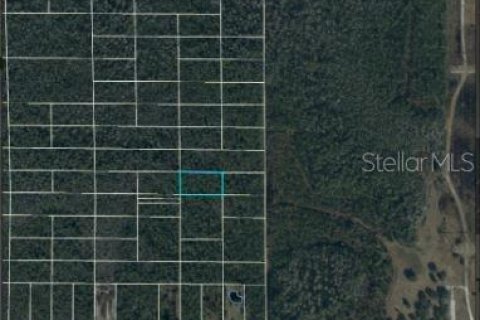 Terreno en venta en Orlando, Florida № 1395285 - foto 6