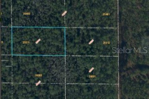Terreno en venta en Orlando, Florida № 1395285 - foto 4