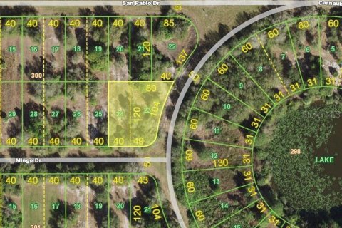 Land in Punta Gorda, Florida № 2162806