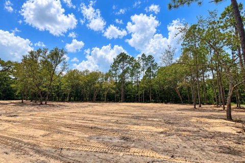 Land in Bronson, Florida № 2352325