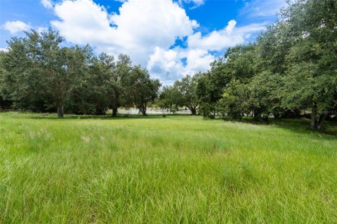 House in Groveland, Florida 5 bedrooms, 320.7 sq.m. № 1900716 - photo 20