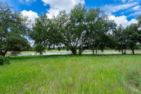 House in Groveland, Florida 5 bedrooms, 320.7 sq.m. № 1900716 - photo 21