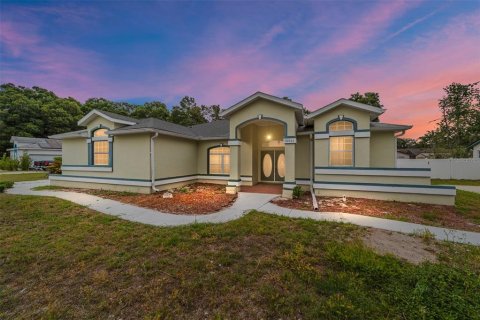 Villa ou maison à Ocala, Floride 3 chambres, 175.96 m2 № 2101727