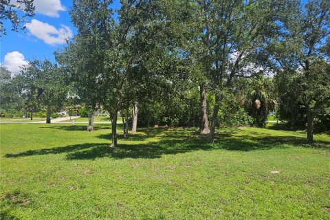 Land in Port Charlotte, Florida № 1881043 - photo 9