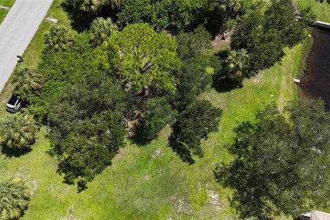 Land in Port Charlotte, Florida № 1881043 - photo 13