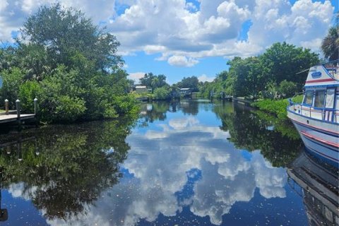 Land in Port Charlotte, Florida № 1881043 - photo 7