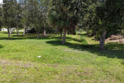 Land in Port Charlotte, Florida № 1881043 - photo 16