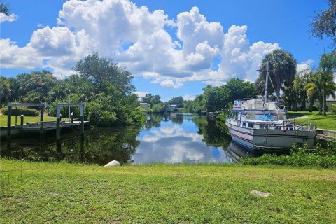 Land in Port Charlotte, Florida № 1881043 - photo 5