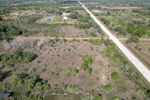 Immobilier commercial à vendre à Okeechobee, Floride № 2248517 - photo 4