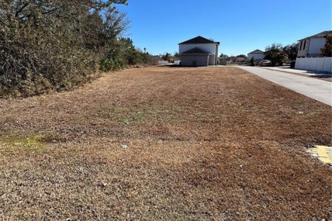 Land in Kissimmee, Florida № 2108650