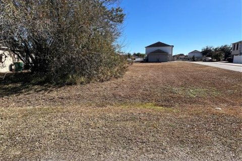 Land in Kissimmee, Florida № 2108650 - photo 2
