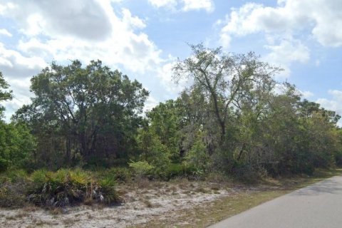 Terrain à vendre à Punta Gorda, Floride № 2095261 - photo 5