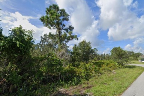 Terrain à vendre à Punta Gorda, Floride № 2095261 - photo 2