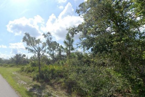 Terrain à Punta Gorda, Floride № 2095261