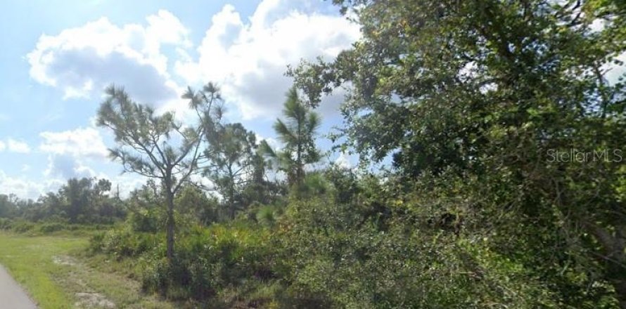 Terrain à Punta Gorda, Floride № 2095261