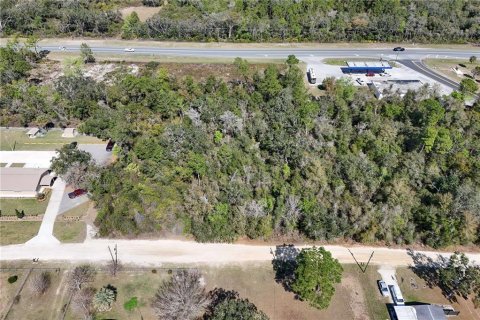 Terreno en venta en Ocala, Florida № 1549134 - foto 6