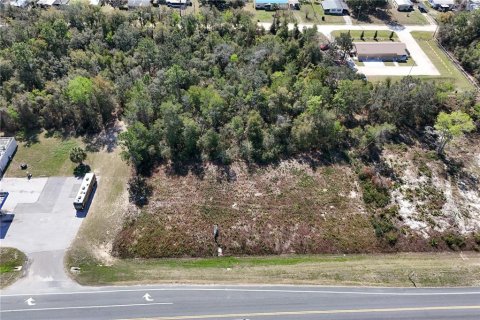 Terreno en venta en Ocala, Florida № 1549134 - foto 4