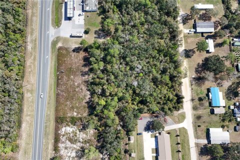 Terreno en venta en Ocala, Florida № 1549134 - foto 11