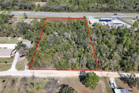Terreno en venta en Ocala, Florida № 1549134 - foto 5