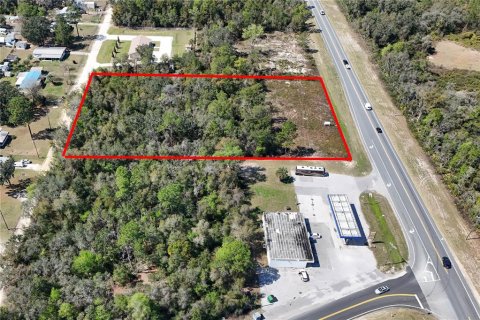 Terreno en venta en Ocala, Florida № 1549134 - foto 1