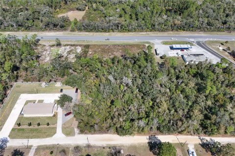 Terreno en venta en Ocala, Florida № 1549134 - foto 8