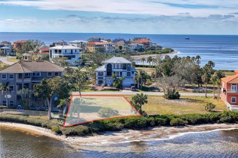 Land in Port Richey, Florida № 1555230 - photo 2