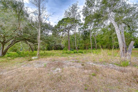 House in Zephyrhills, Florida 2 bedrooms, 88.44 sq.m. № 2236105 - photo 14