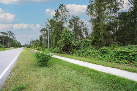 Land in Deltona, Florida № 2158957 - photo 20