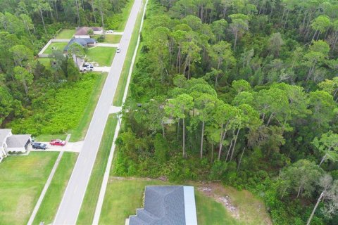 Land in Deltona, Florida № 2158957 - photo 8