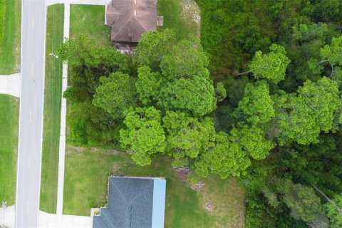 Land in Deltona, Florida № 2158957 - photo 9