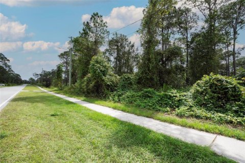 Land in Deltona, Florida № 2158957 - photo 18