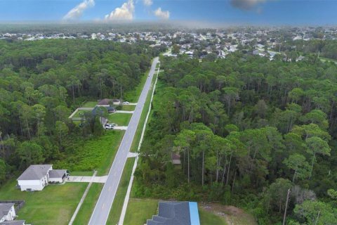 Land in Deltona, Florida № 2158957 - photo 7