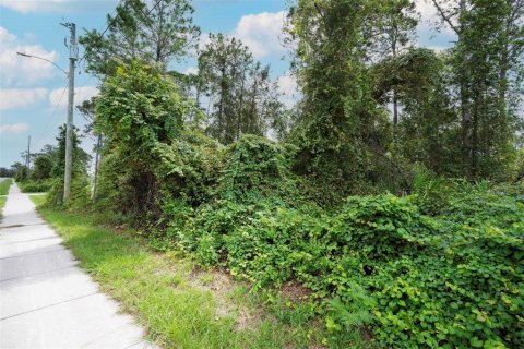 Land in Deltona, Florida № 2158957 - photo 19
