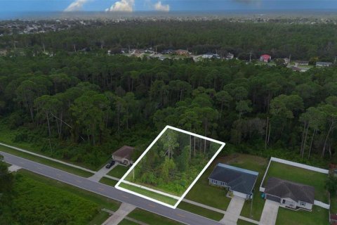 Land in Deltona, Florida № 2158957 - photo 2