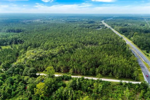 Commercial property in Lawtey, Florida № 2237733 - photo 23