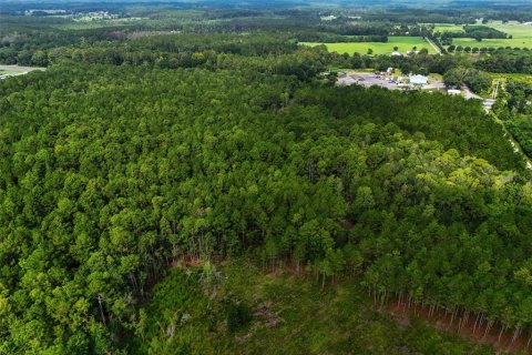 Commercial property in Lawtey, Florida № 2237733 - photo 27