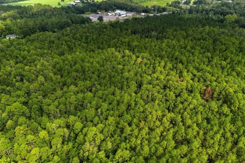 Commercial property in Lawtey, Florida № 2237733 - photo 22
