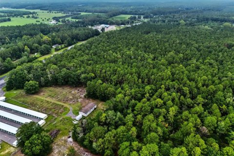 Commercial property in Lawtey, Florida № 2237733 - photo 11