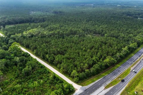 Commercial property in Lawtey, Florida № 2237733 - photo 17
