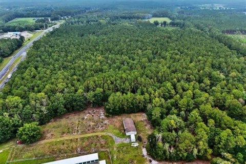 Commercial property in Lawtey, Florida № 2237733 - photo 8