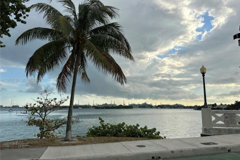 Copropriété à louer à Miami Beach, Floride: 1 chambre, 49.7 m2 № 2153160 - photo 11