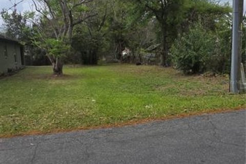 Terreno en venta en Lakeland, Florida № 2228854 - foto 4
