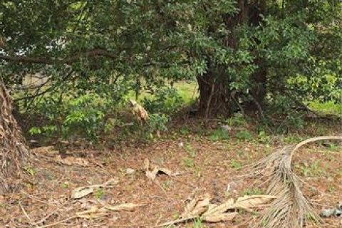 Terreno en venta en Lakeland, Florida № 2228854 - foto 2