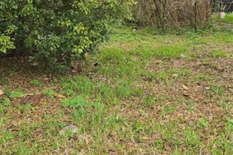 Terreno en Lakeland, Florida № 2228854