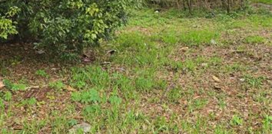 Terreno en Lakeland, Florida № 2228854