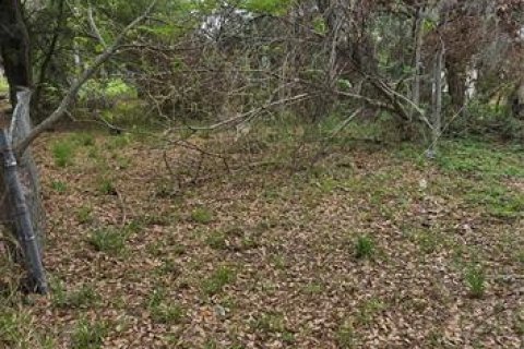 Terreno en venta en Lakeland, Florida № 2228854 - foto 3