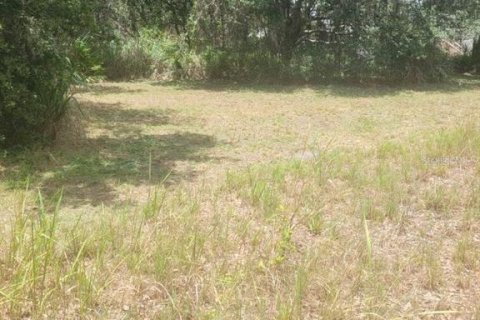 Land in Mulberry, Florida № 2161608