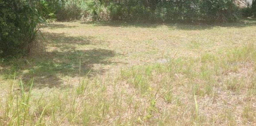 Land in Mulberry, Florida № 2161608